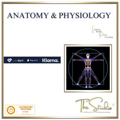 Level 4 Anatomy & Physiology